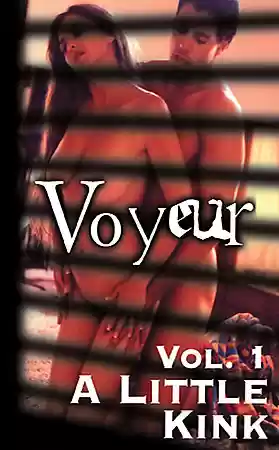 Voyeur Vol 1 A Little Kink