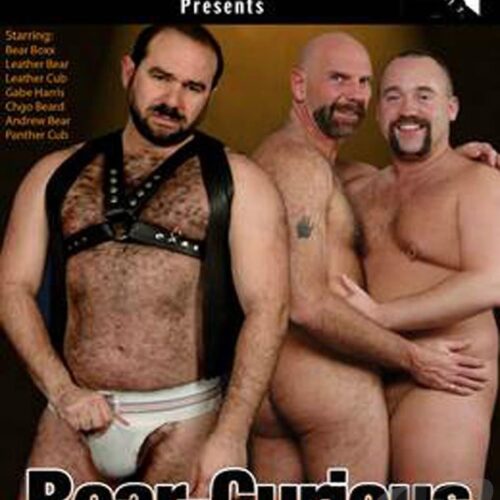 Bear-Curious