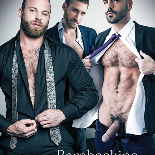 Gentlemen # 13: Barebacking Business Men