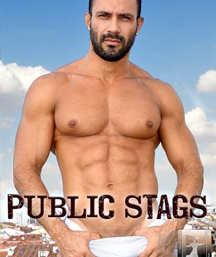 Public Stags