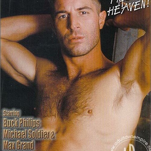Sexpack Seven - Pigs In Heaven