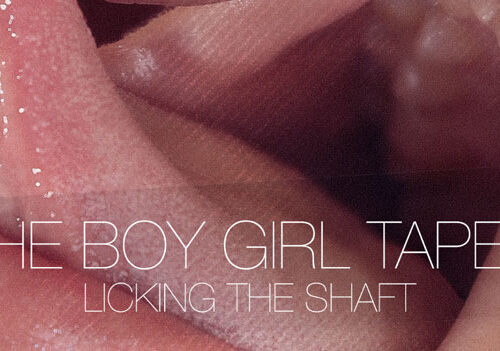 The Boy Girl Chronicles - Licking The Shaft