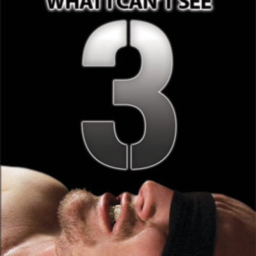 What I Can't See # 3